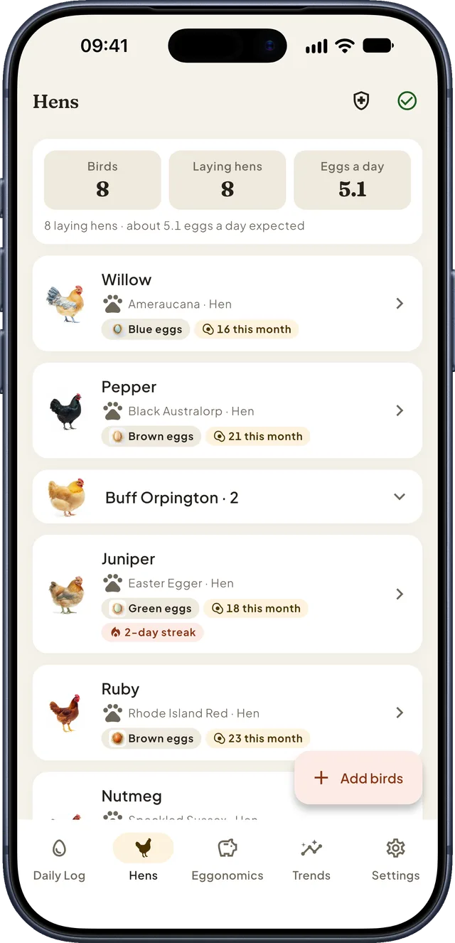 The Hens list: each bird with her breed, egg color and eggs this month
