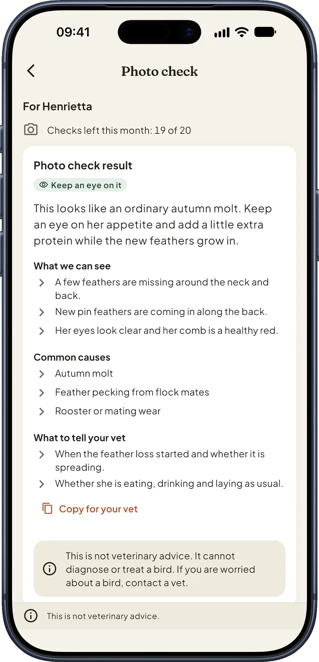 AI photo check result: what the photo shows, common causes and what to tell your vet, marked not veterinary advice